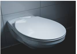 Kako odabrati WC šolju? Šta znače izrazi baltik, simplon i konzolna?